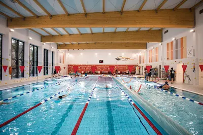 Barrakuda Szkoła Pływania Gdańsk - pływanie niemowlaków - szkółka pływacka - nauka pływania dla dzieci i dorosłych Gdańsk